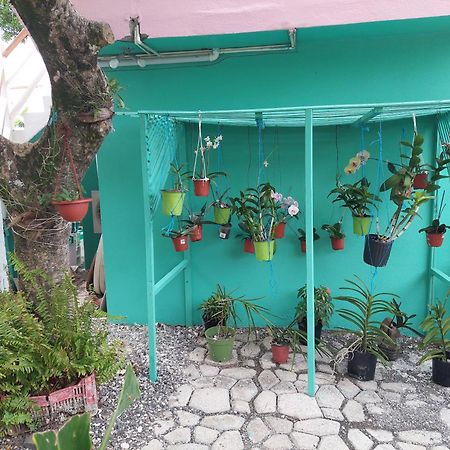Alex'S Place - Tim Pappies Port Antonio Exteriör bild