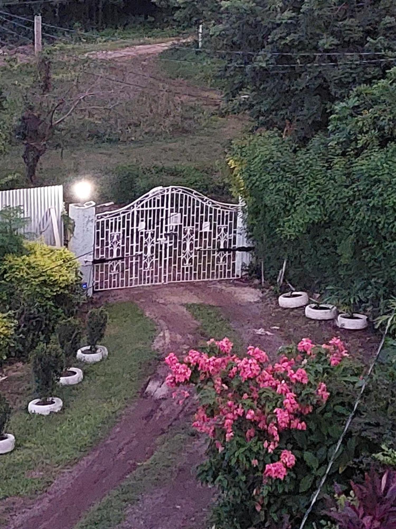 Alex'S Place - Tim Pappies Port Antonio Exteriör bild