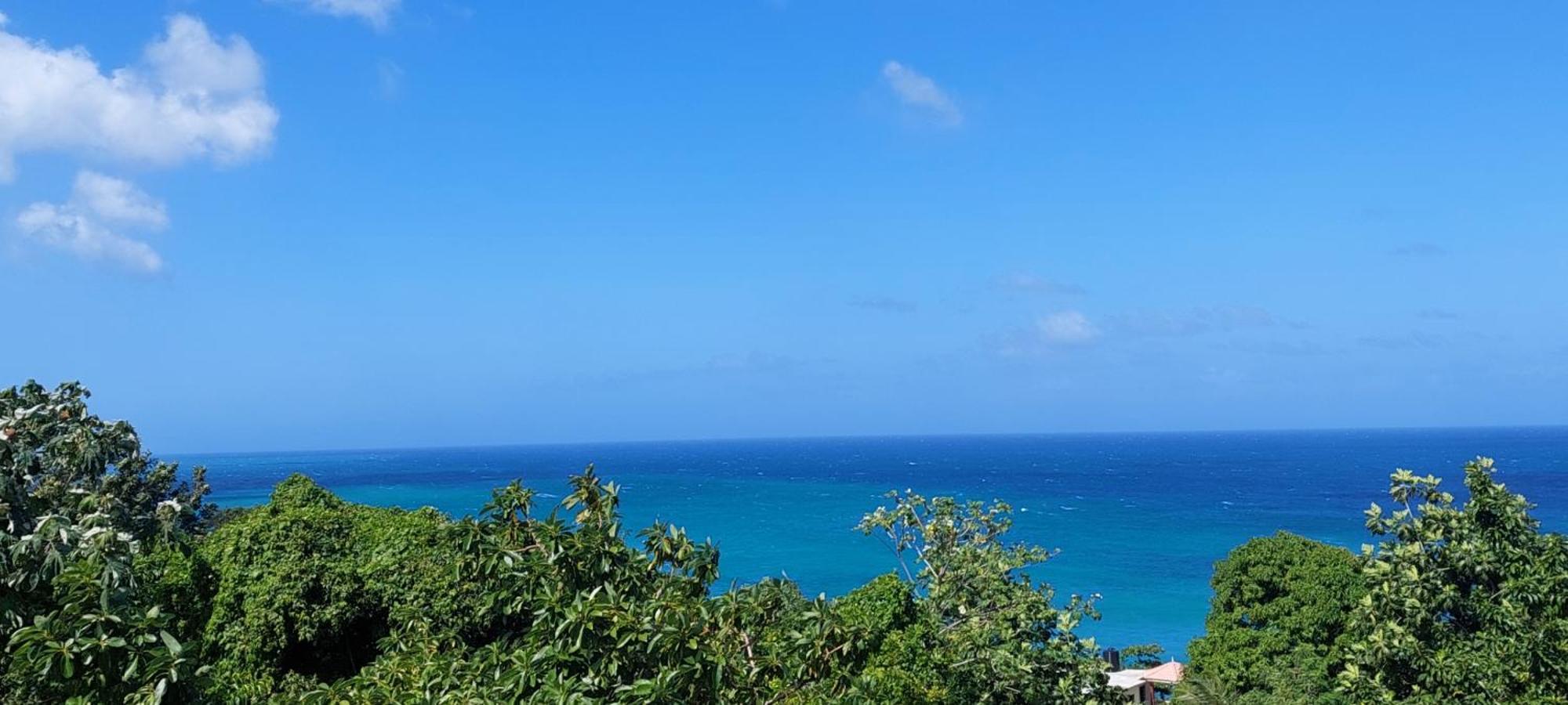 Alex'S Place - Tim Pappies Port Antonio Exteriör bild