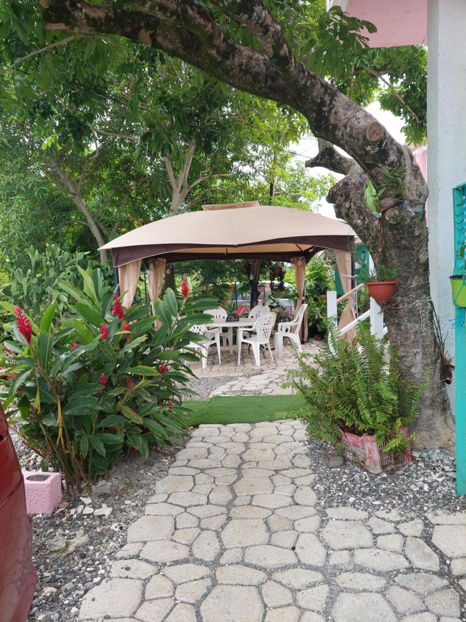 Alex'S Place - Tim Pappies Port Antonio Exteriör bild